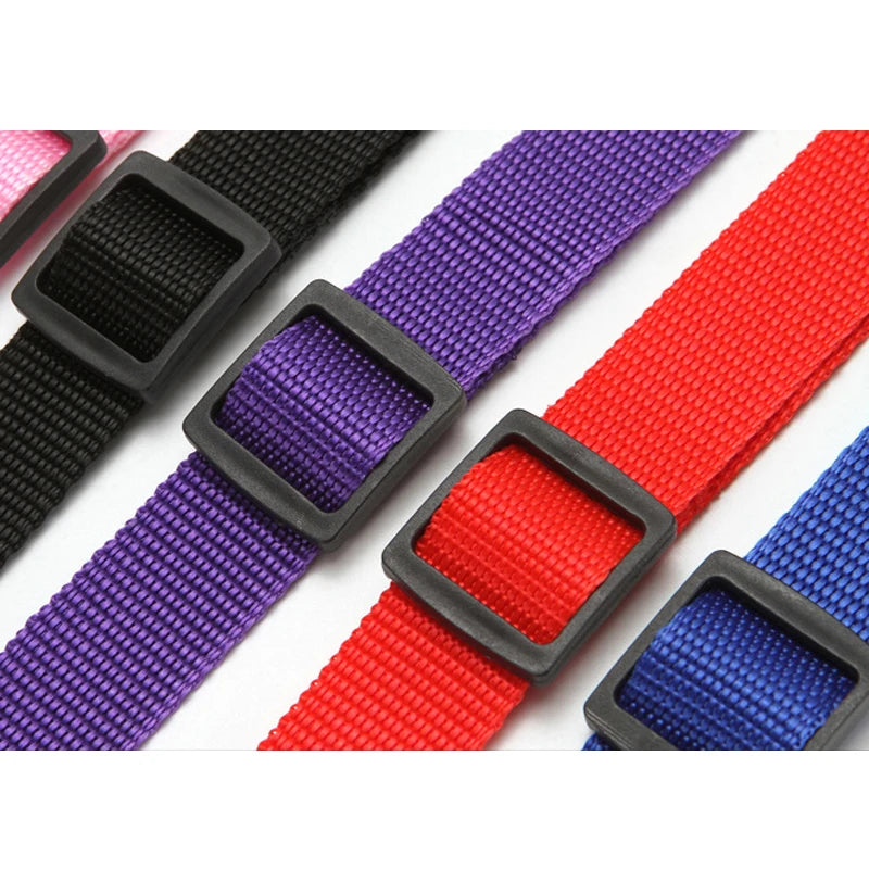 Ceinture de Sécurité 2-en-1 pour Chien – Laisse et Harnais Auto Réglable