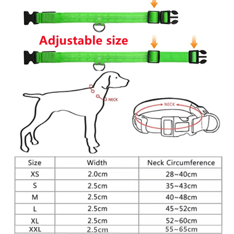 Collier Lumineux USB pour Chien & Chat – LED Sécurité de Nuit avec Pendentif