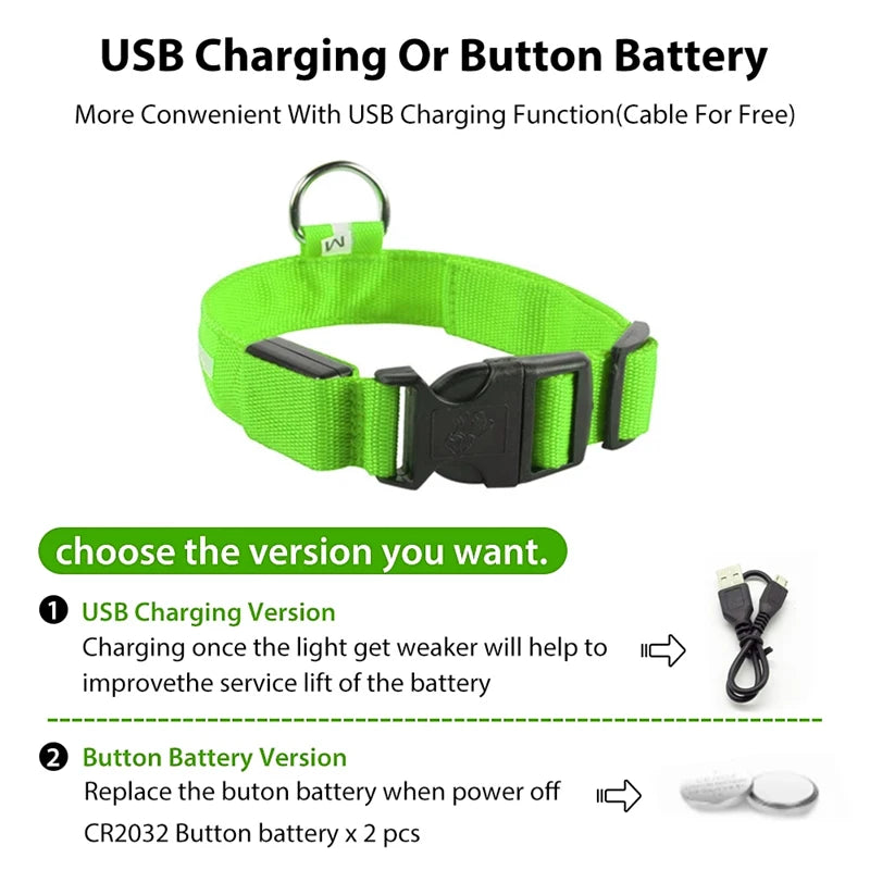 Collier Lumineux USB pour Chien & Chat – LED Sécurité de Nuit avec Pendentif