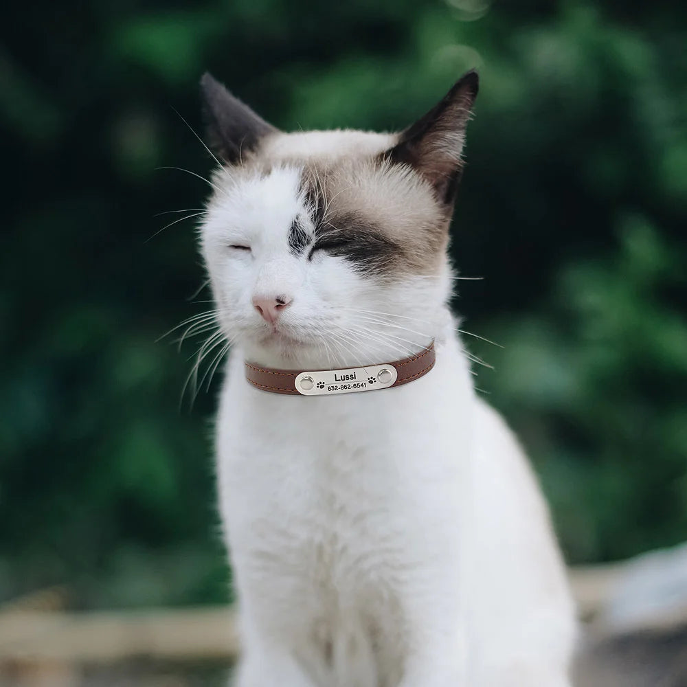 Collier Personnalisé en Cuir pour Chien & Chat – Gravure Nom et Numéro
