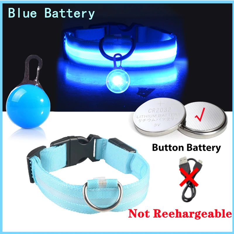 Collier Lumineux USB pour Chien & Chat – LED Sécurité de Nuit avec Pendentif
