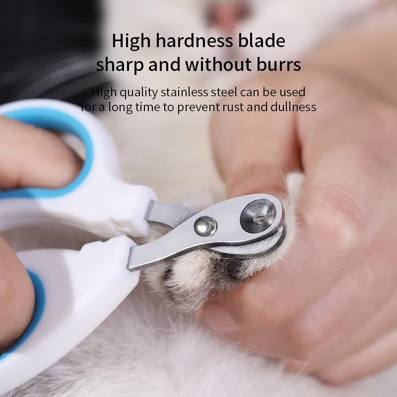 Coupe-Griffes Professionnel pour Chat & Petit Chien – Acier Inoxydable