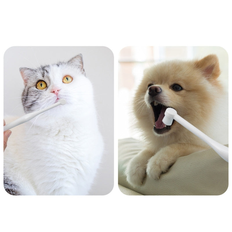 Brosse à Dents pour Chiens & Chats – Nettoyage Complet et Soin Oral