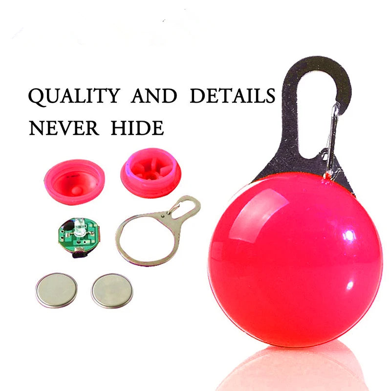 Collier Lumineux USB pour Chien & Chat – LED Sécurité de Nuit avec Pendentif