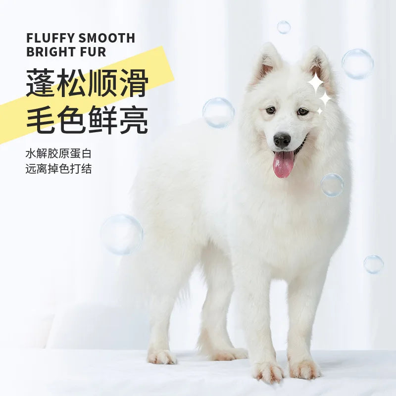 Shampoing & Gel Douche pour Chiens & Chats – Soin, Nettoyage et Déodorant (500 ml)