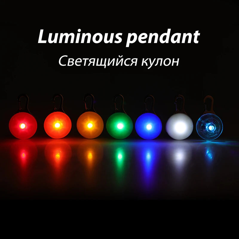 Collier Lumineux USB pour Chien & Chat – LED Sécurité de Nuit avec Pendentif