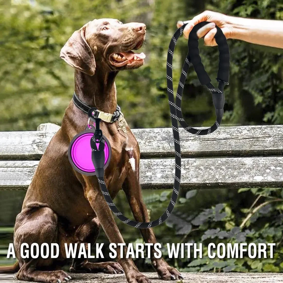Laisse Réfléchissante en Nylon pour Chien – Résistante et Confortable