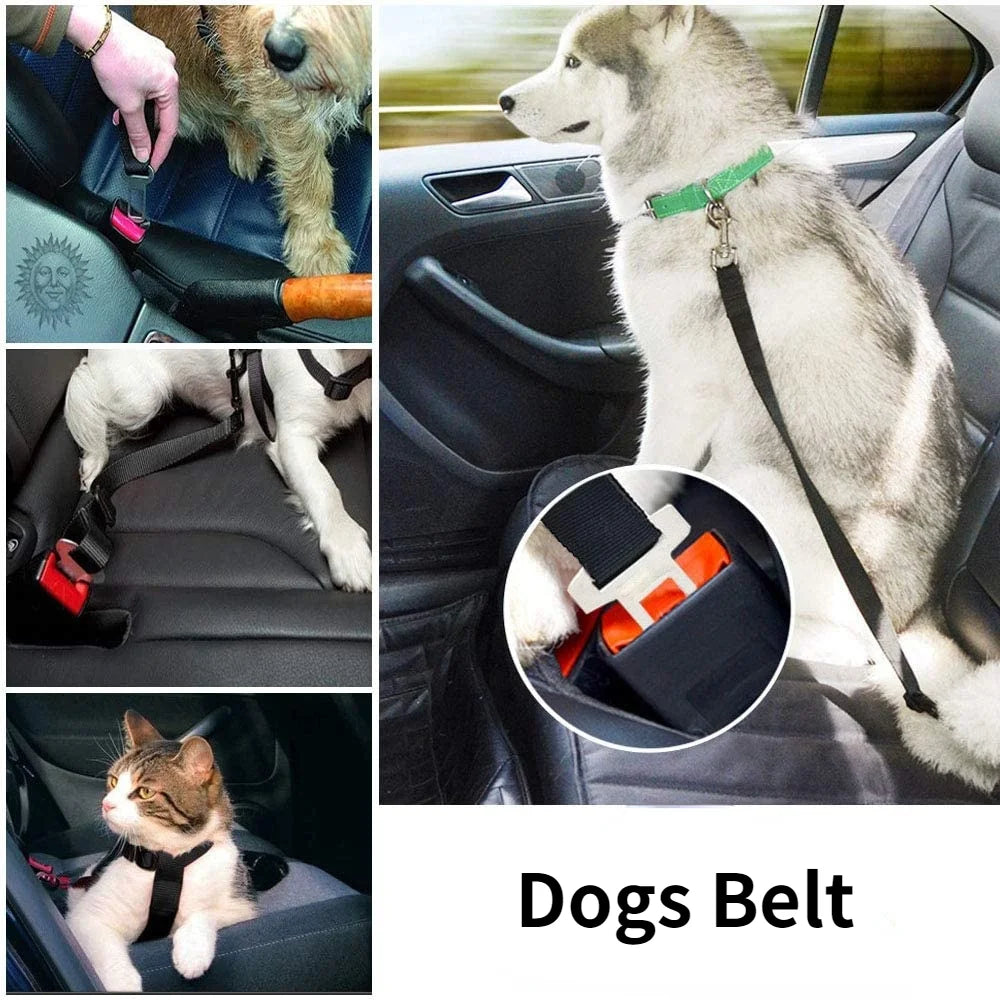 Ceinture de Sécurité Réglable pour Chien & Chat – Harnais de Voiture