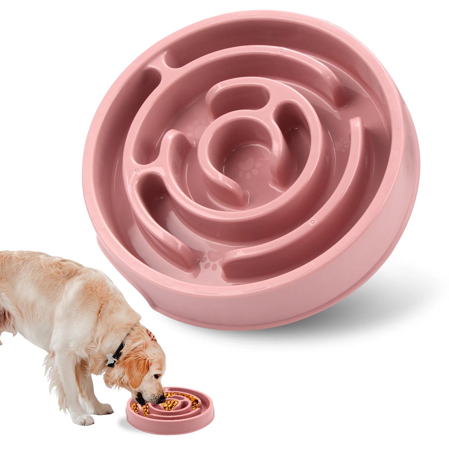 Gamelle Anti-Glouton pour Chien et Chat – Antidérapante