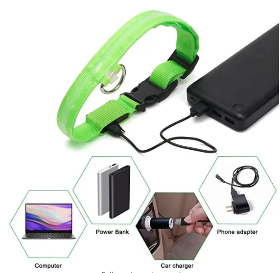 Collier Lumineux USB pour Chien & Chat – LED Sécurité de Nuit avec Pendentif