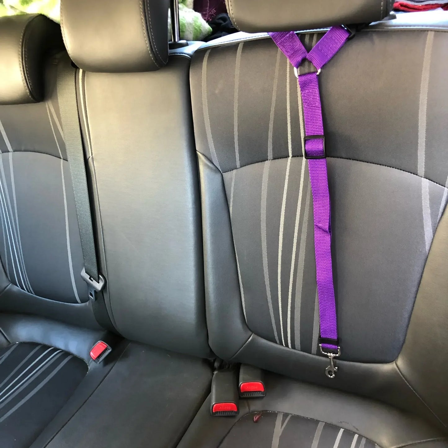 Ceinture de Sécurité 2-en-1 pour Chien – Laisse et Harnais Auto Réglable