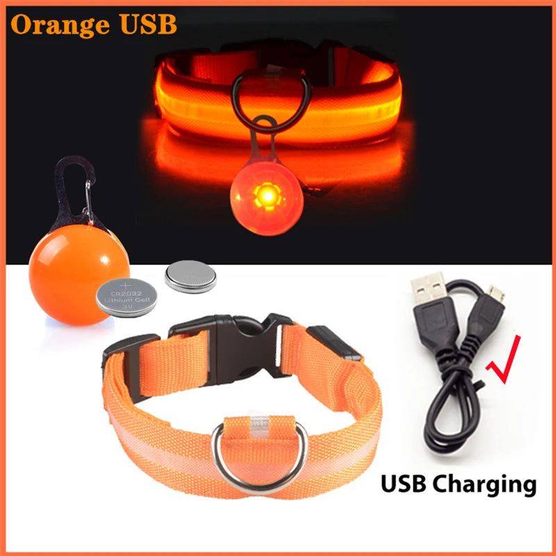 Collier Lumineux USB pour Chien & Chat – LED Sécurité de Nuit avec Pendentif