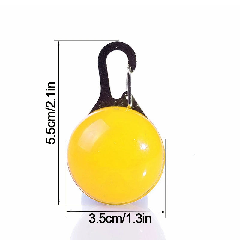 Collier Lumineux USB pour Chien & Chat – LED Sécurité de Nuit avec Pendentif