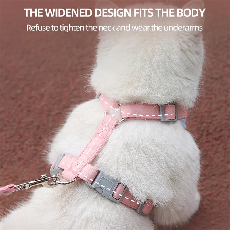 Harnais et Laisse pour Chien ou Chat – Ensemble Confortable et Respirant (XS à L)