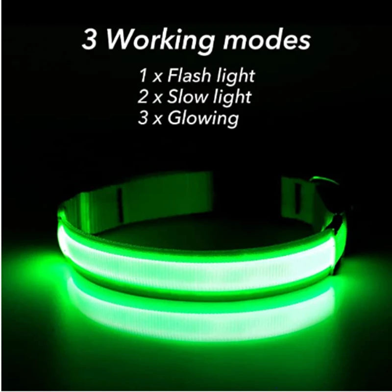 Collier Lumineux USB pour Chien & Chat – LED Sécurité de Nuit avec Pendentif