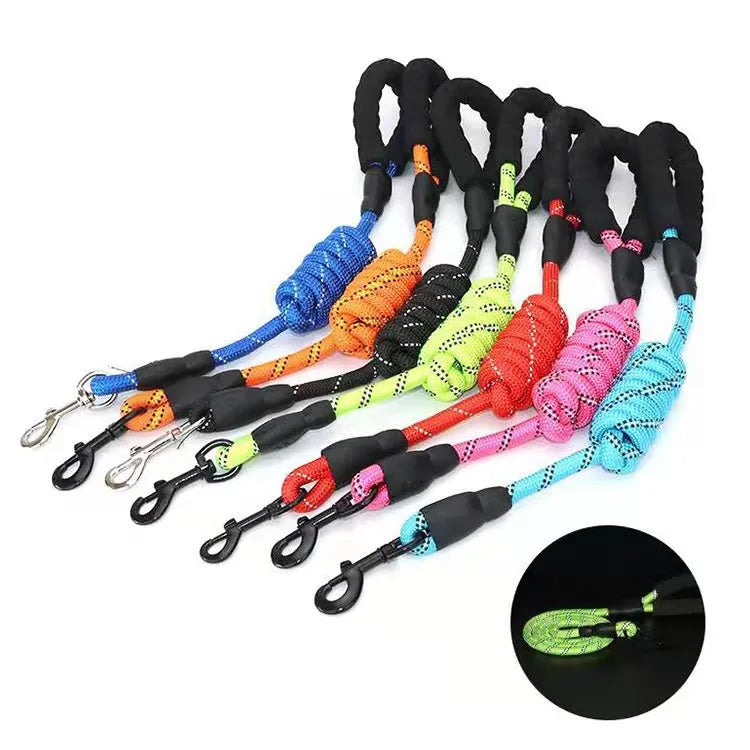 Laisse Réfléchissante en Nylon pour Chien – Résistante et Confortable