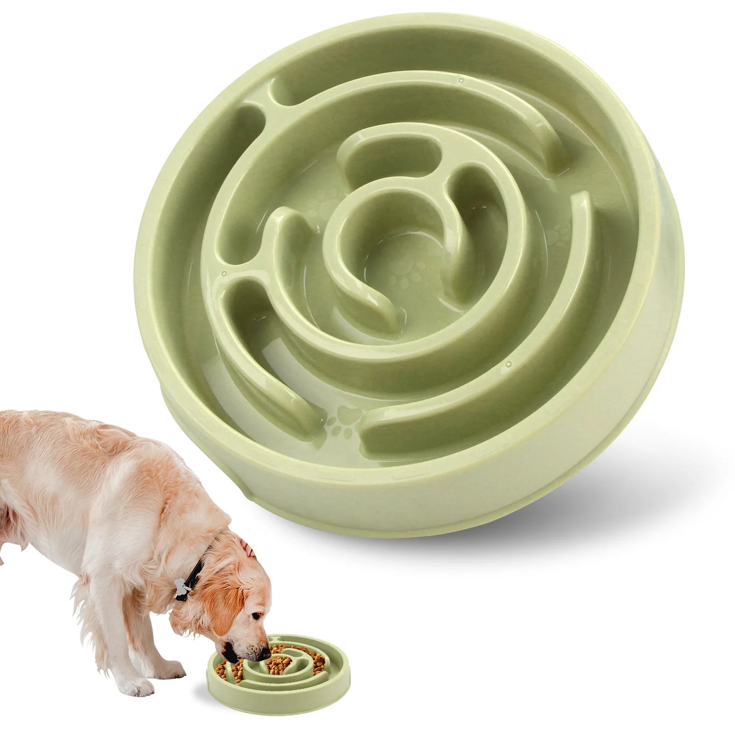 Gamelle Anti-Glouton pour Chien et Chat – Antidérapante