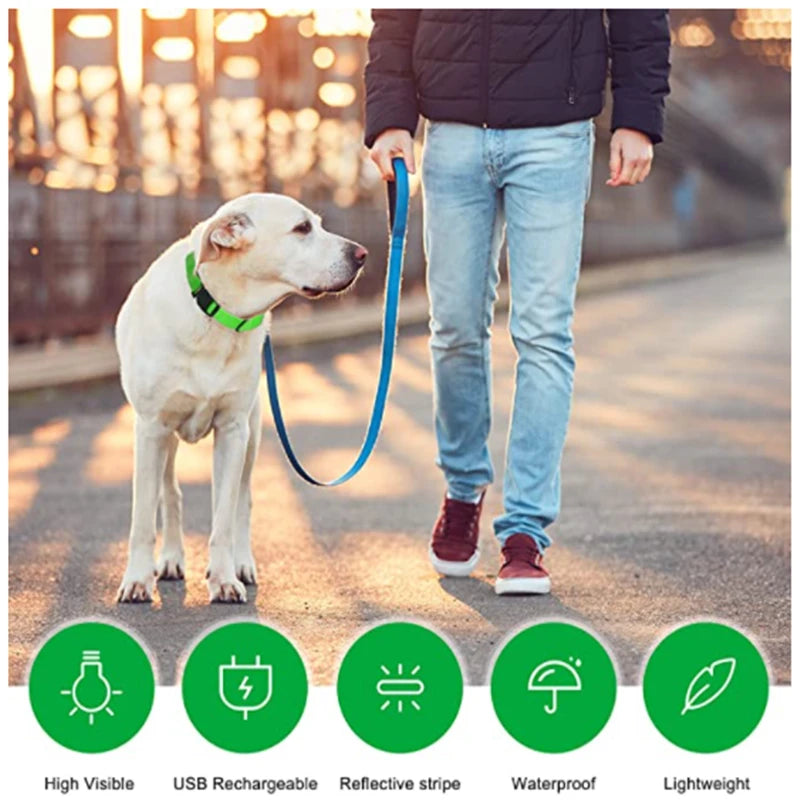 Collier Lumineux USB pour Chien & Chat – LED Sécurité de Nuit avec Pendentif