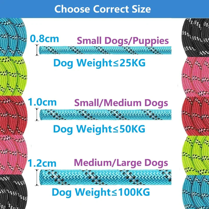 Laisse Renforcée Réfléchissante pour Chien – Poignée Confort (120 à 300 cm)