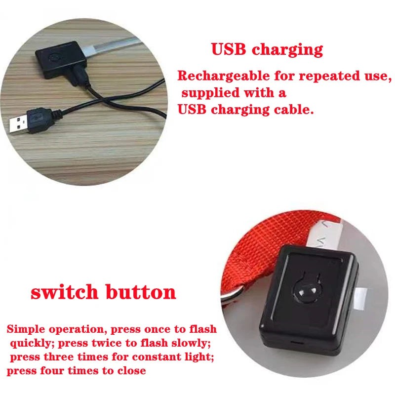 Collier Lumineux USB pour Chien & Chat – LED Sécurité de Nuit avec Pendentif