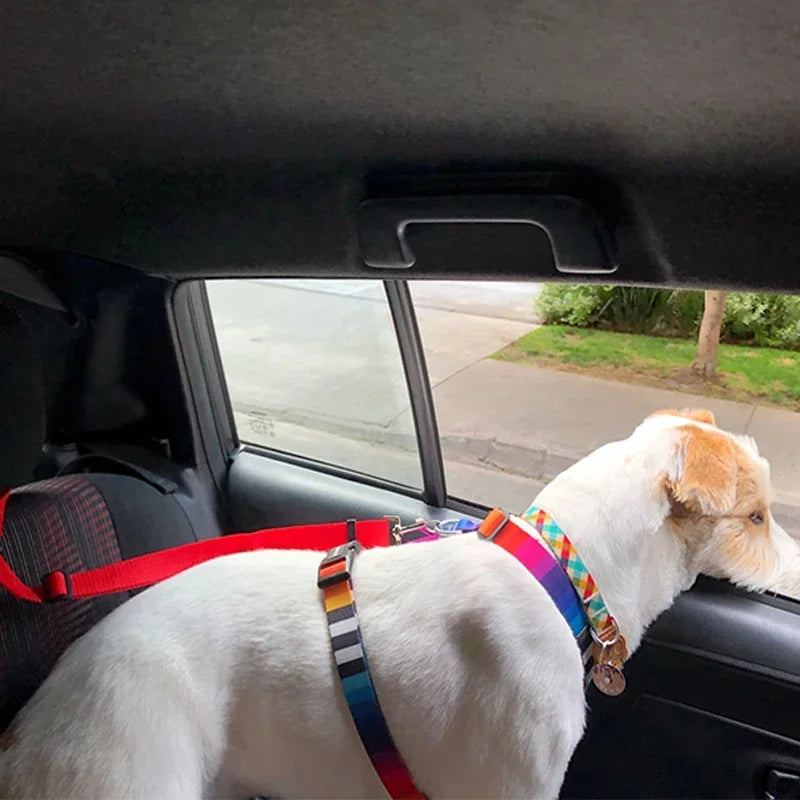 Ceinture de Sécurité 2-en-1 pour Chien – Laisse et Harnais Auto Réglable