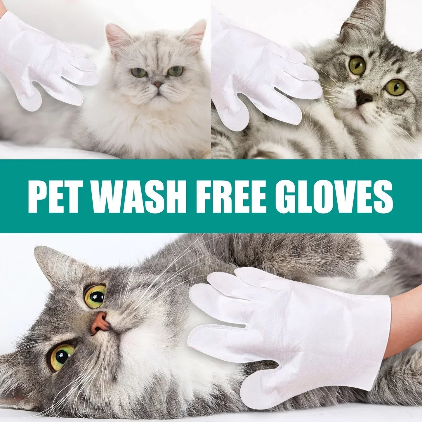 Gants Jetables Nettoyants pour Chiens & Chats – Bain Sec et Désodorisant
