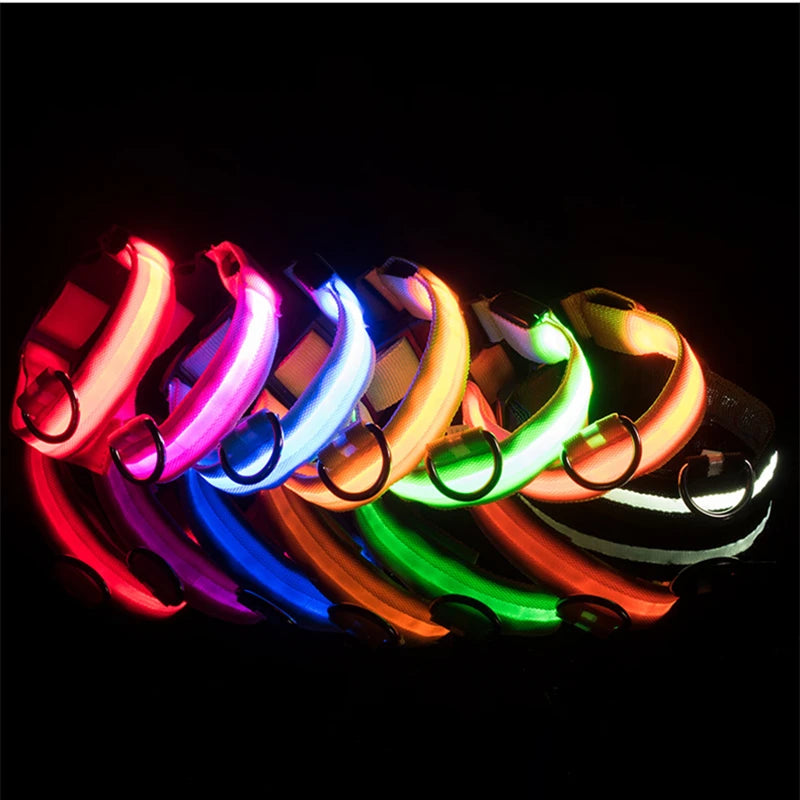 Collier Lumineux USB pour Chien & Chat – LED Sécurité de Nuit avec Pendentif