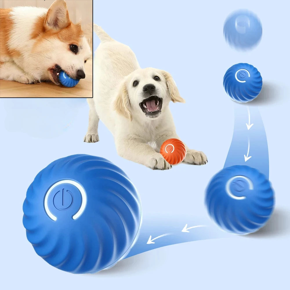 Balle Interactive Automatique pour Chiens – Balle Sautante et Rechargeable USB