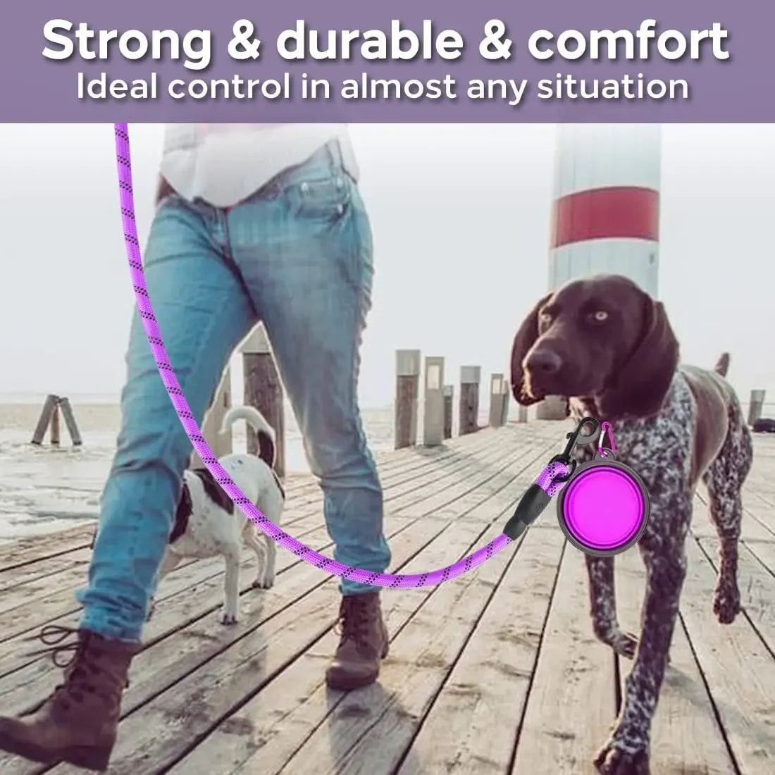 Laisse Réfléchissante en Nylon pour Chien – Résistante et Confortable