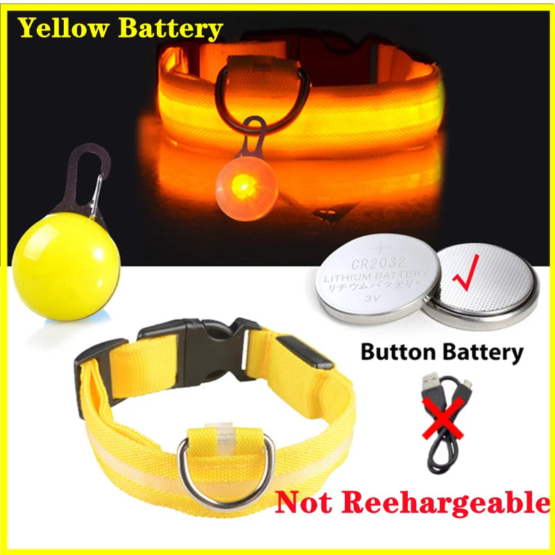 Collier Lumineux USB pour Chien & Chat – LED Sécurité de Nuit avec Pendentif
