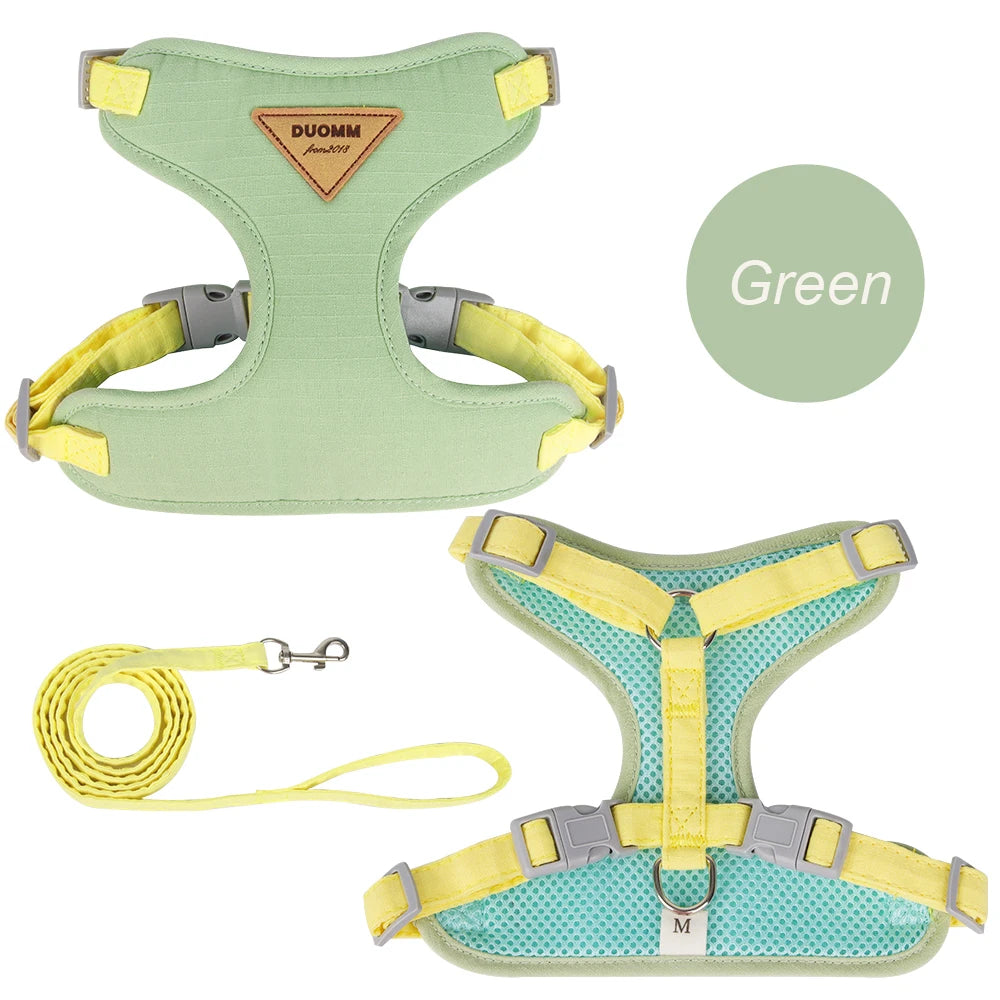 Harnais et Laisse pour Chien ou Chat – Ensemble Confortable et Respirant (XS à L)