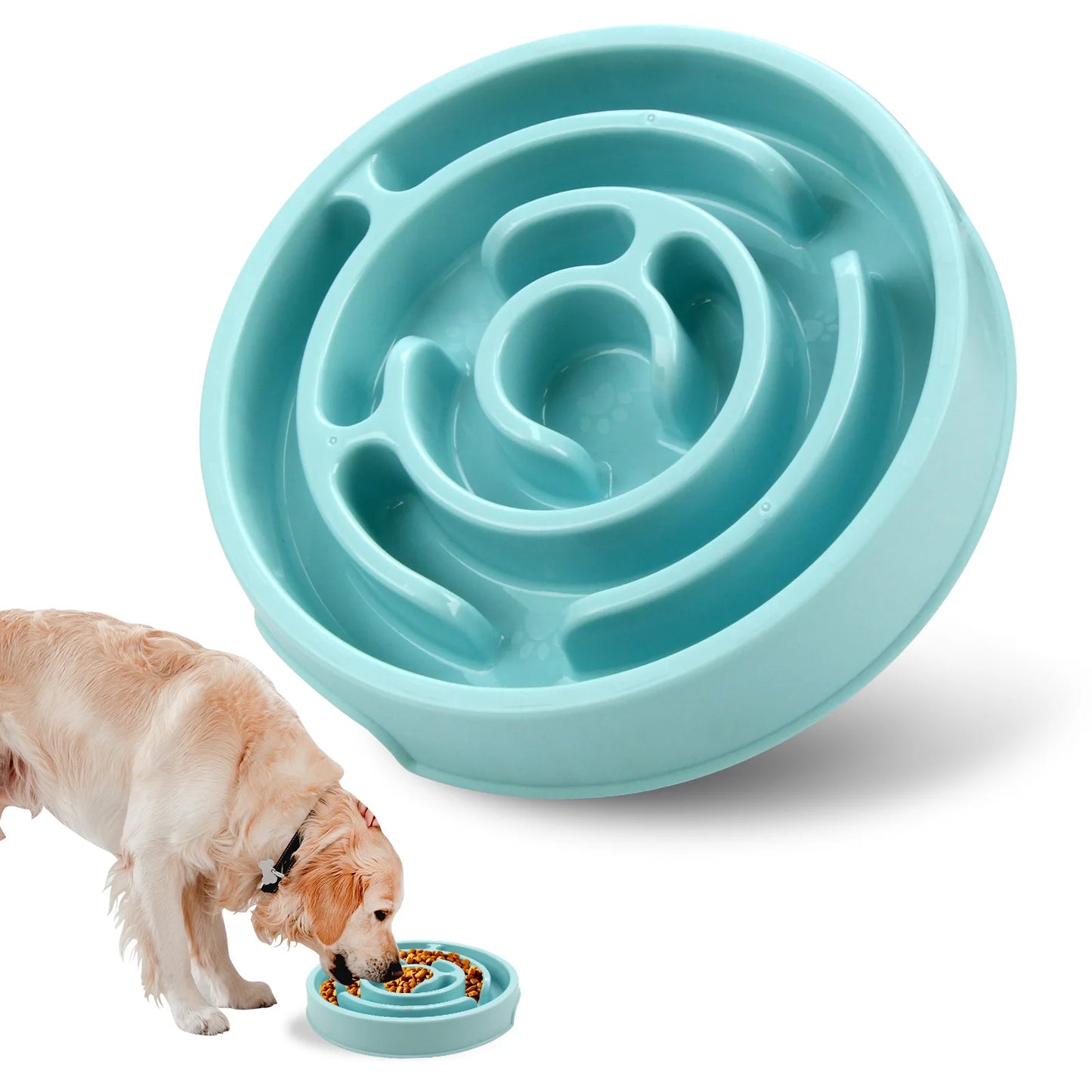 Gamelle Anti-Glouton pour Chien et Chat – Antidérapante