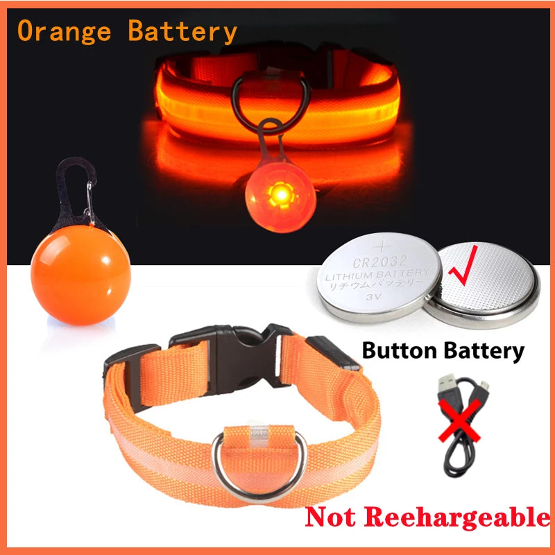 Collier Lumineux USB pour Chien & Chat – LED Sécurité de Nuit avec Pendentif