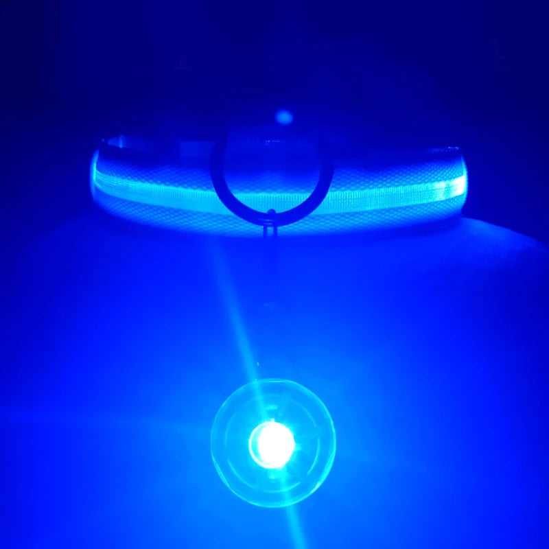 Collier Lumineux USB pour Chien & Chat – LED Sécurité de Nuit avec Pendentif