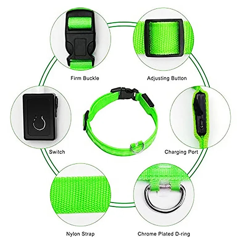 Collier Lumineux USB pour Chien & Chat – LED Sécurité de Nuit avec Pendentif