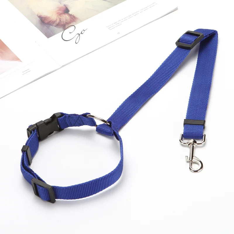 Ceinture de Sécurité 2-en-1 pour Chien – Laisse et Harnais Auto Réglable