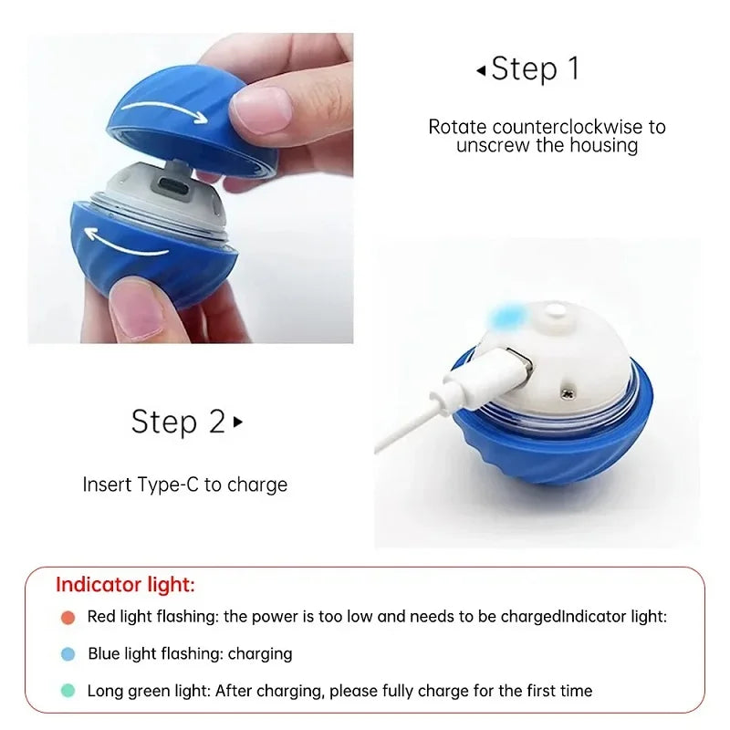 Balle Interactive Automatique pour Chiens – Balle Sautante et Rechargeable USB