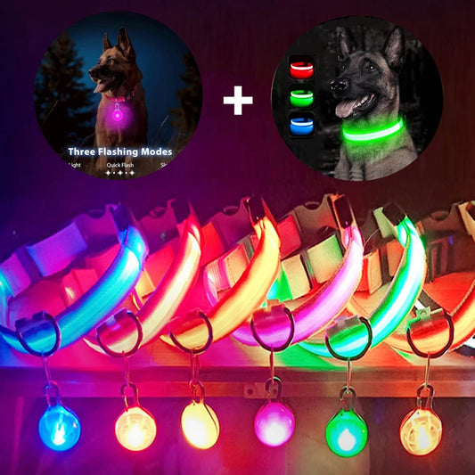Collier Lumineux USB pour Chien & Chat – LED Sécurité de Nuit avec Pendentif