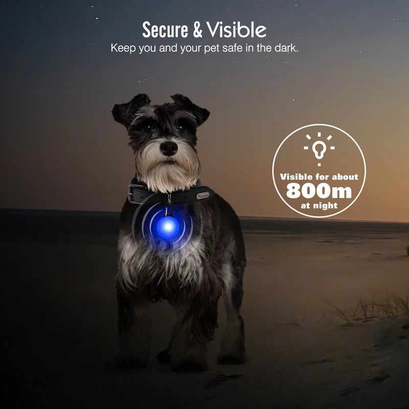 Collier Lumineux USB pour Chien & Chat – LED Sécurité de Nuit avec Pendentif