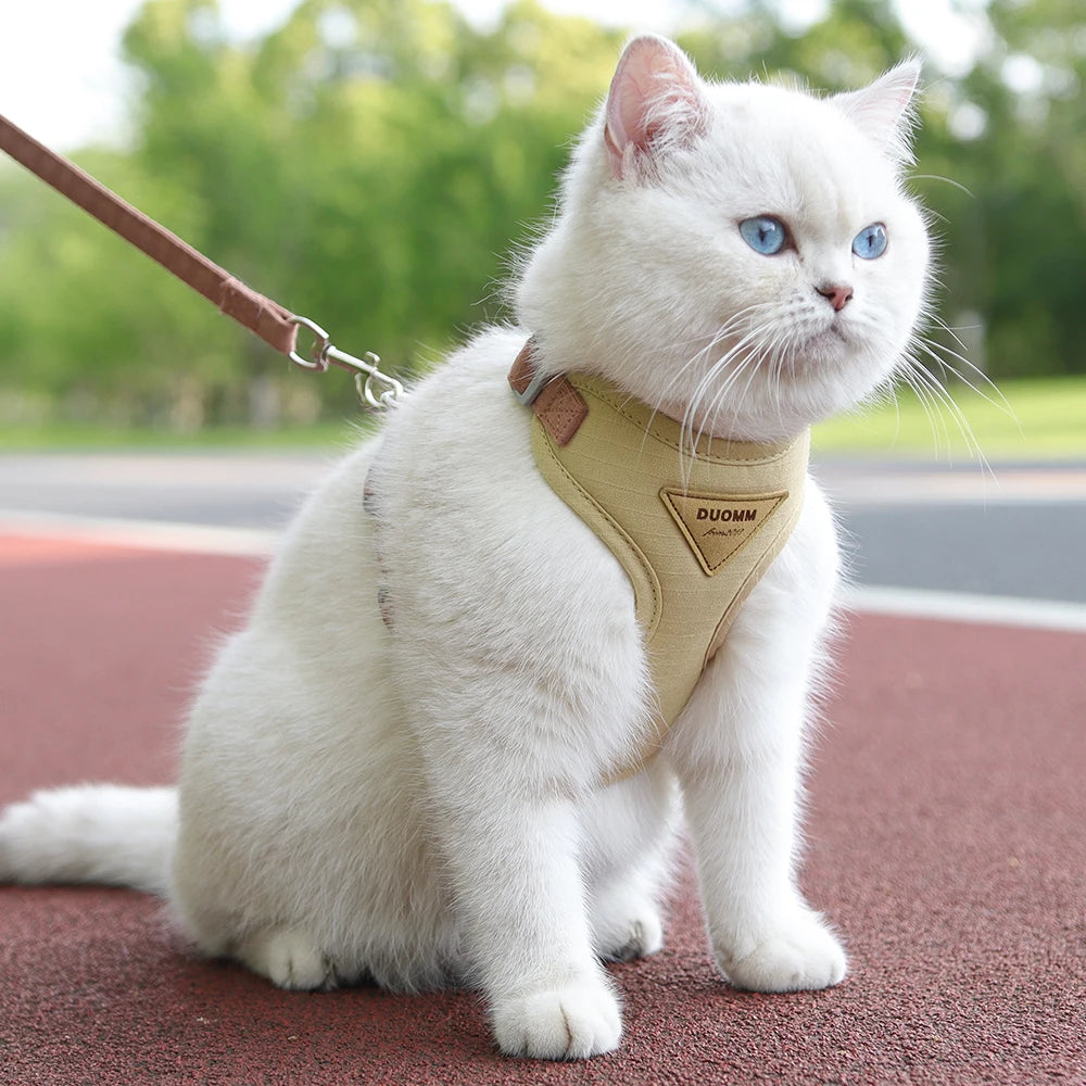 Harnais et Laisse pour Chien ou Chat – Ensemble Confortable et Respirant (XS à L)