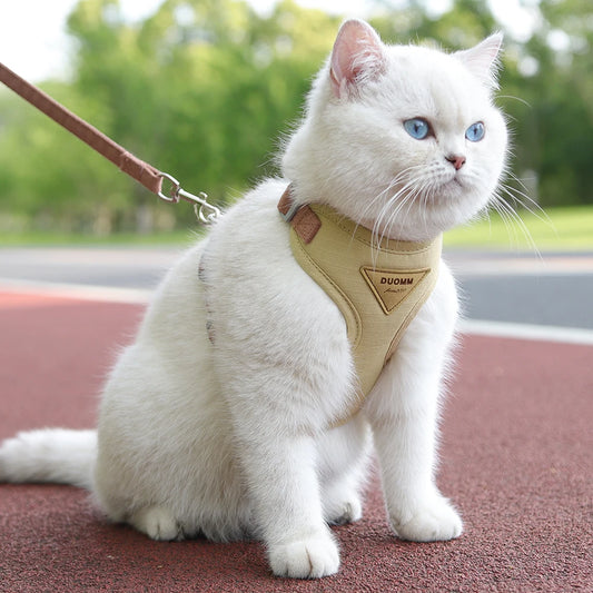 Harnais et Laisse pour Chien ou Chat – Ensemble Confortable et Respirant (XS à L)