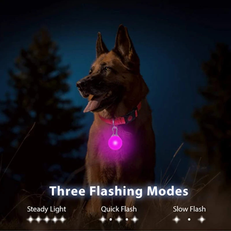 Collier Lumineux USB pour Chien & Chat – LED Sécurité de Nuit avec Pendentif