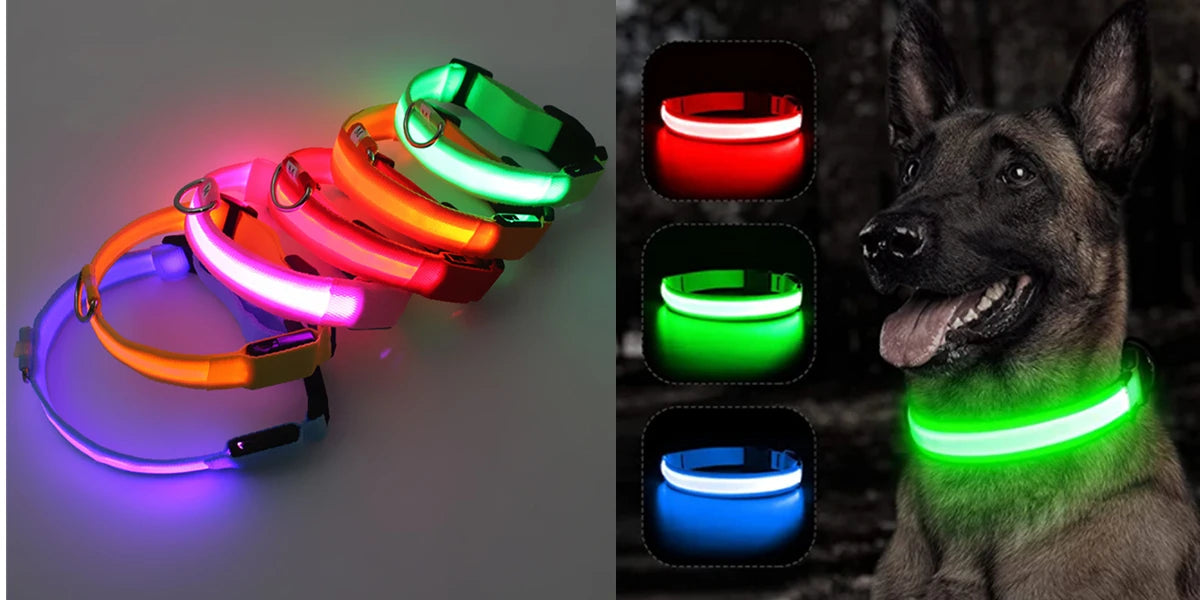 Collier Lumineux USB pour Chien & Chat – LED Sécurité de Nuit avec Pendentif