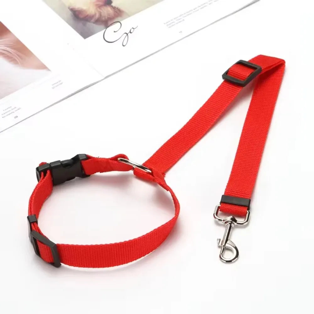 Ceinture de Sécurité 2-en-1 pour Chien – Laisse et Harnais Auto Réglable