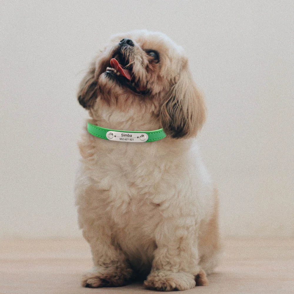 Collier Personnalisé en Cuir pour Chien & Chat – Gravure Nom et Numéro