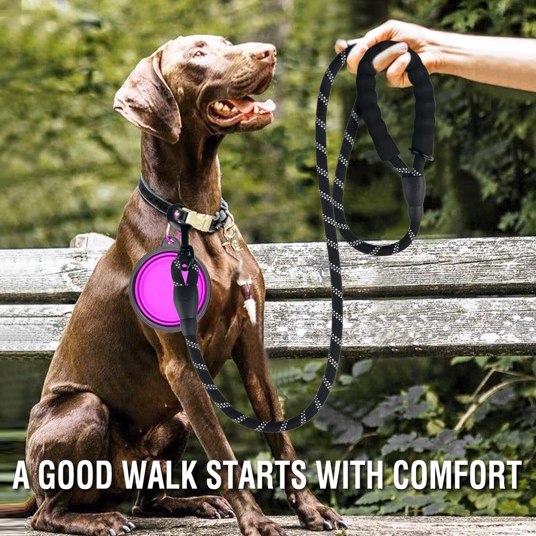 Laisse Réfléchissante en Nylon pour Chien – Résistante et Confortable