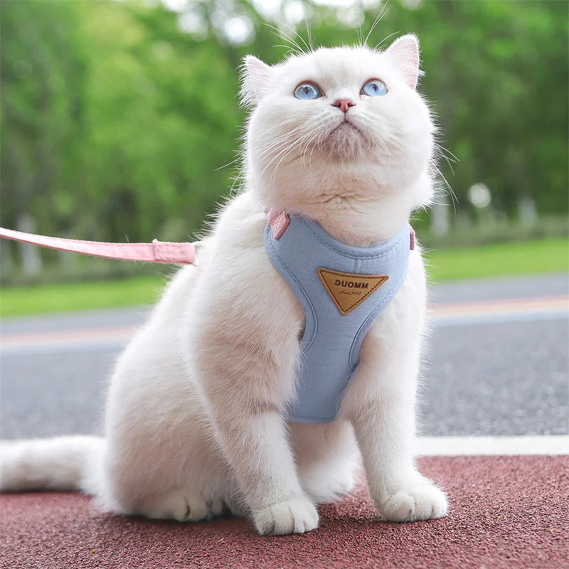 Harnais et Laisse pour Chien ou Chat – Ensemble Confortable et Respirant (XS à L)