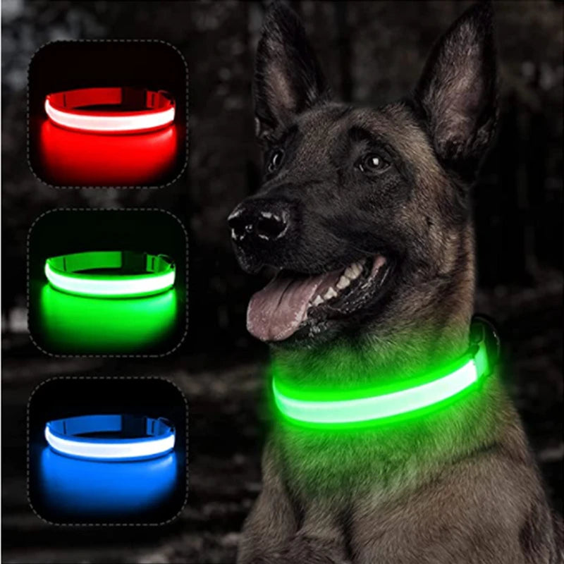 Collier Lumineux USB pour Chien & Chat – LED Sécurité de Nuit avec Pendentif
