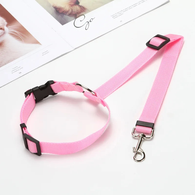 Ceinture de Sécurité 2-en-1 pour Chien – Laisse et Harnais Auto Réglable
