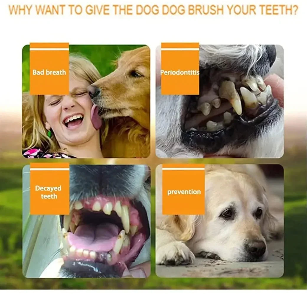 Brosse à Dents en Silicone pour Chien & Chat – Hygiène Buccale Anti-Mauvaise Haleine